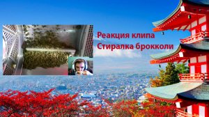 Реакцией клипа:  стиралка брокколи