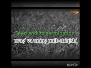 Urug‘ va uning unib chiqishi 🇺🇿 //seed and its germination🇭🇲//семя и процесс его прорастания🇷🇺