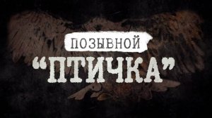 Позывной "Птичка" | История рядового Прокопенко и волонтёра-санитара Полины