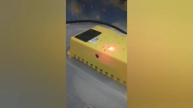 Инкубатор Cleo 5 смотреть онлайн