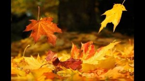 ОСЕННИЙ ЛИСТОПАД сл.и муз.О.Каледин исп.Игорь Иванников