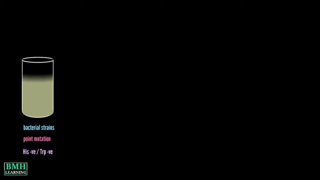 AMES Test | смотреть онлайн