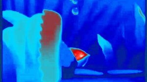 Moonzy Fishing Heilum Clearer