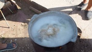 Уха из скорпены и кефали на костре!