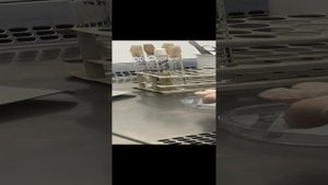 Икра исследования 1