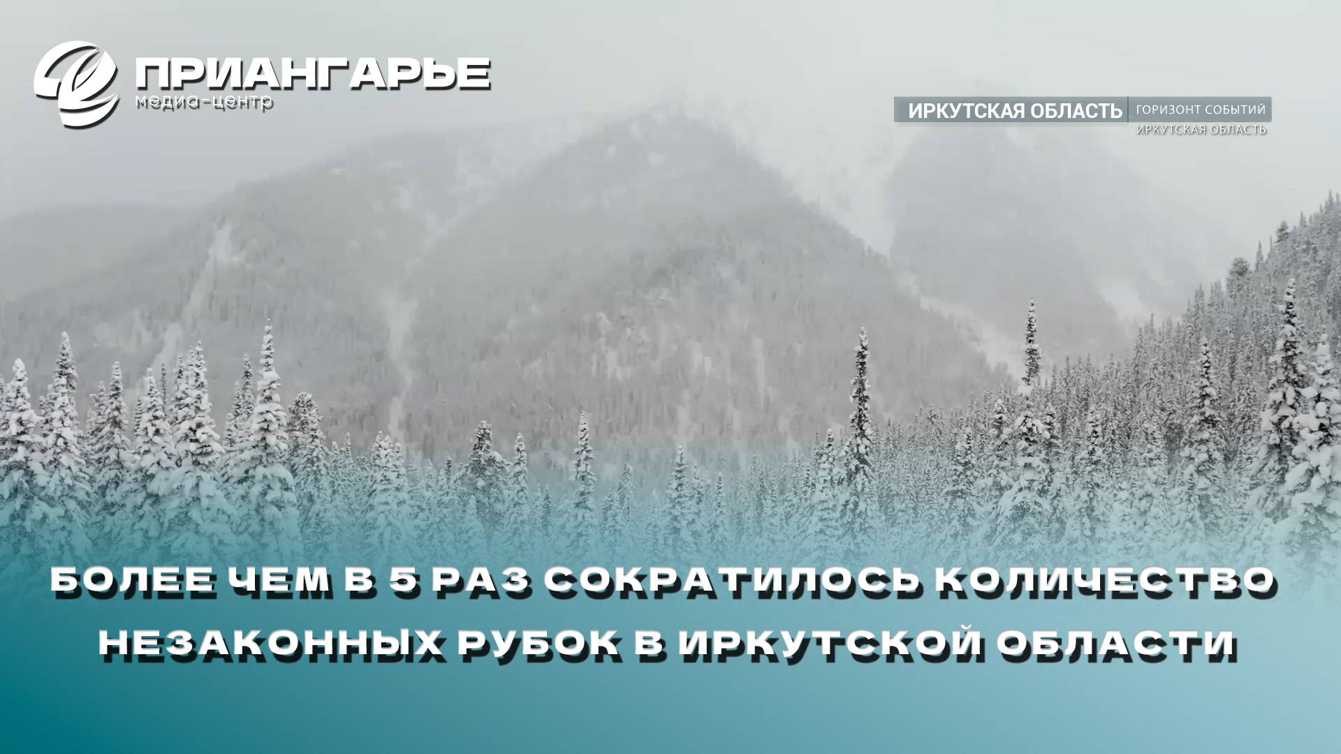 Более чем в 5 раз сократилось количество незаконных рубок в Иркутской области