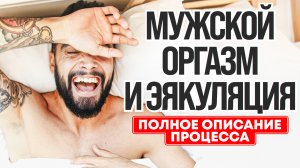 Мужской оргазм и эякуляция, описание процесса