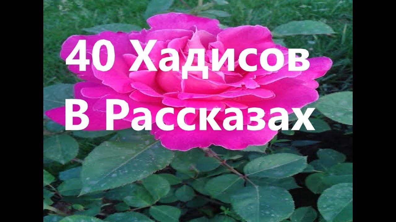 40 Хадисов В Рассказах 21