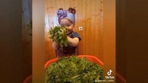 Вкуснейшие Карачаевские хычины с ботвой от Аиши #кавказ 🥰🥰🥰 #горянка #карачай #исмаилиаиша