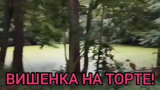 РЕШИЛИ УСТРОИТЬ ОТЧЕТ О ТРЕЗВОЙ МАРИНЕ! ANYANASTYA LIFE. ОБЗОР.