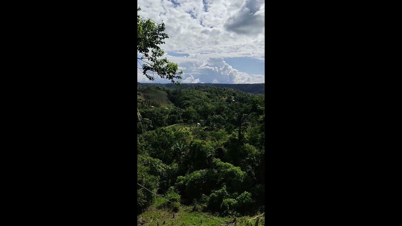 Dota 2 - Opening Hallowed Chest of the Diretide until I get an Immortal Set (DAY 3) смотреть онлайн