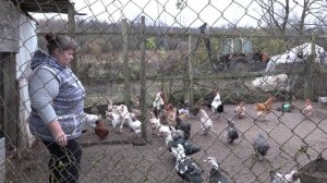 СОЦКОНТРАКТ РОМАНОВА 11.11.2024