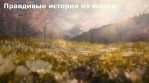 🟣 Как невестка отучила наглую свекровь от своей дачи ... История из жизни