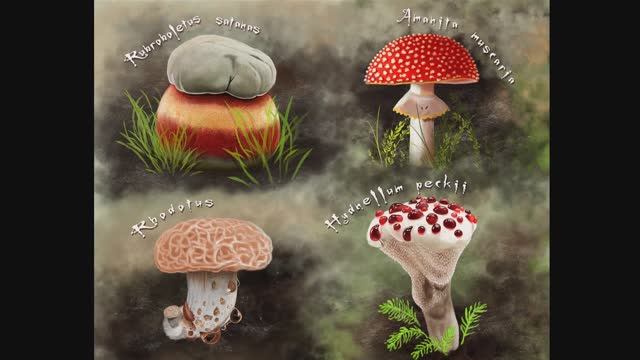 © Грибы. 05.07.2024 смотреть онлайн