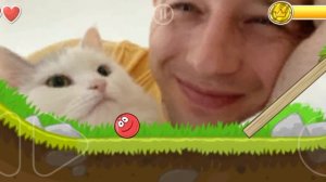 Посхалка от разработчика в игре Red Ball 4