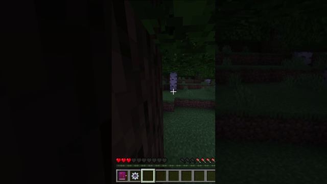 Майнкрафт. Мультик. История
#minecraft #майнкрафт #игры #мультик #рутуб