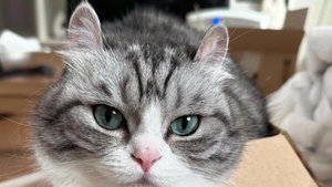 Комаруплэй⛄❄️☑️