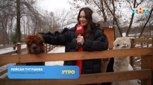 Милейшие обитатели городской фермы ВДНХ