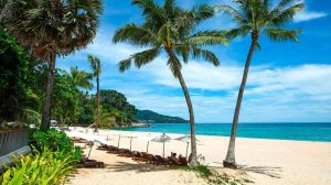 Таиланд 2024 Удивительно красивые природные пейзажи | БАНГКОК - ПХУКЕТ - КРАБИ - САМУИ