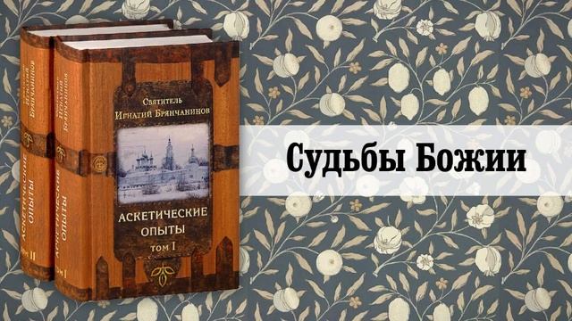 5. Судьбы Божии. Святитель Игнатий (Брянчанинов)