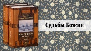 5. Судьбы Божии. Святитель Игнатий (Брянчанинов)