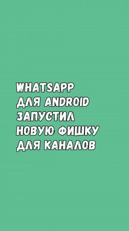 WhatsApp Для Android Запустил Новую Фишку Для Каналов