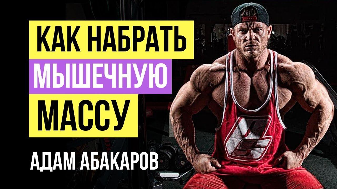 Как набрать мышечную массу? Как правильно набирать мышечную массу: Адам Абакаров для Body-Pit.Ru смотреть онлайн