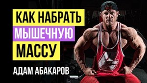 Как набрать мышечную массу? Как правильно набирать мышечную массу: Адам Абакаров для Body-Pit.Ru