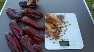 Урожайные и необычные сорта сладкого перца 2024 часть 2