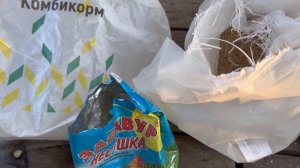 Живу Одна С Детьми/ Готовим Вместе/ Распаковка Яндекс Маркет/Заготовки На Зиму/Купили Дом В Деревне