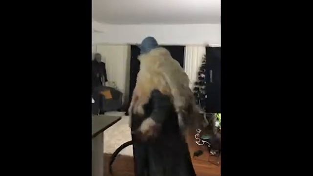 My Krampus Ice Demon costume смотреть онлайн