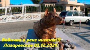 Лазаревское днем 03.11.2024. Водав речке классная!!!🌴ЛАЗАРЕВСКОЕ СЕГОДНЯ🌴СОЧИ.