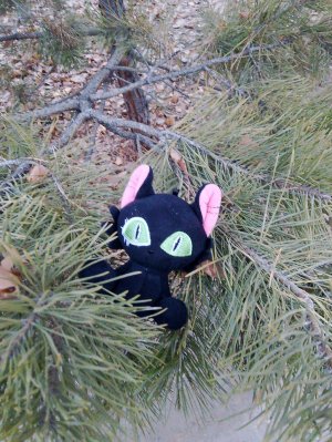 табо сквишики 💕❤️