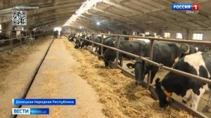 Вести.Донецк на 14.30 от 03.12.2024