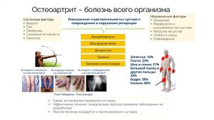 Ревматологические заболевания. 26.11.24.