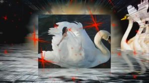 Лебедь белая...исп. Юлия Михальчик