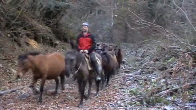 перегін на Березний смотреть онлайн