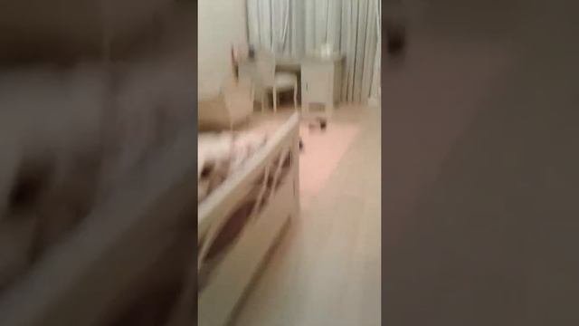 Какаха