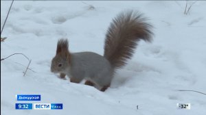 09:30 ВЕСТИ САХА 03/12/24 НА ЯКУТСКОМ ЯЗЫКЕ