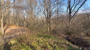 Краснодарский край хутор Школьный 👍 Купель в лесу бесплатно 😅