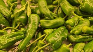 Перчики падрон или тапас испанский