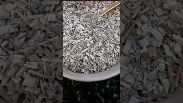 Очищение и восстановление печени  свежевыжатыми соками ,травами .