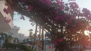 Eгипет. Хургада -  Отель " Marlin inn azur resort 4*"