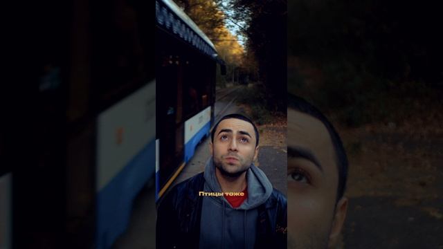 Lizer - горизонт_000