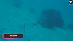 Это Открытие в Антарктиде Испугало Всех Ученых