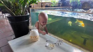 Cô bán hàng tỉnh táo. dễ thương nhưng khó dụ #tepgaofamily #begaotihon #haihuoc #funny #family #cut