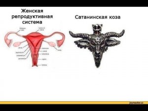 соВЕТ ЗМЕЙ,  циТАТА из МаХабХарата.