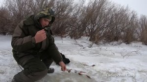 ХОД ОКУНЯ. ОКУНЬ НА ОПАРЫШ