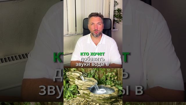 Пруд, фонтан или бассейн? Выбираем водоём для участка! 💧 #Shorts