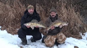 Декабрь - осень продолжается! (2)